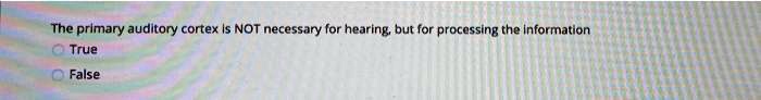 The primary auditory cortex is NOT necessary for hearing, but for processing the information
True
False