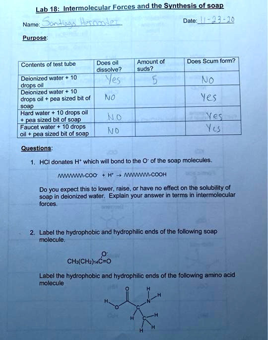 SOLVED Lab 18 Intermolecular Forces and the Synthesis of Soap Date