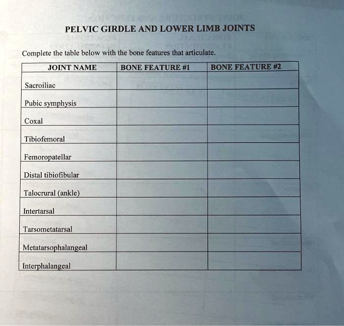 Solved: Could You Help Me Determine Which Bone The Joint Is? Pelvic 