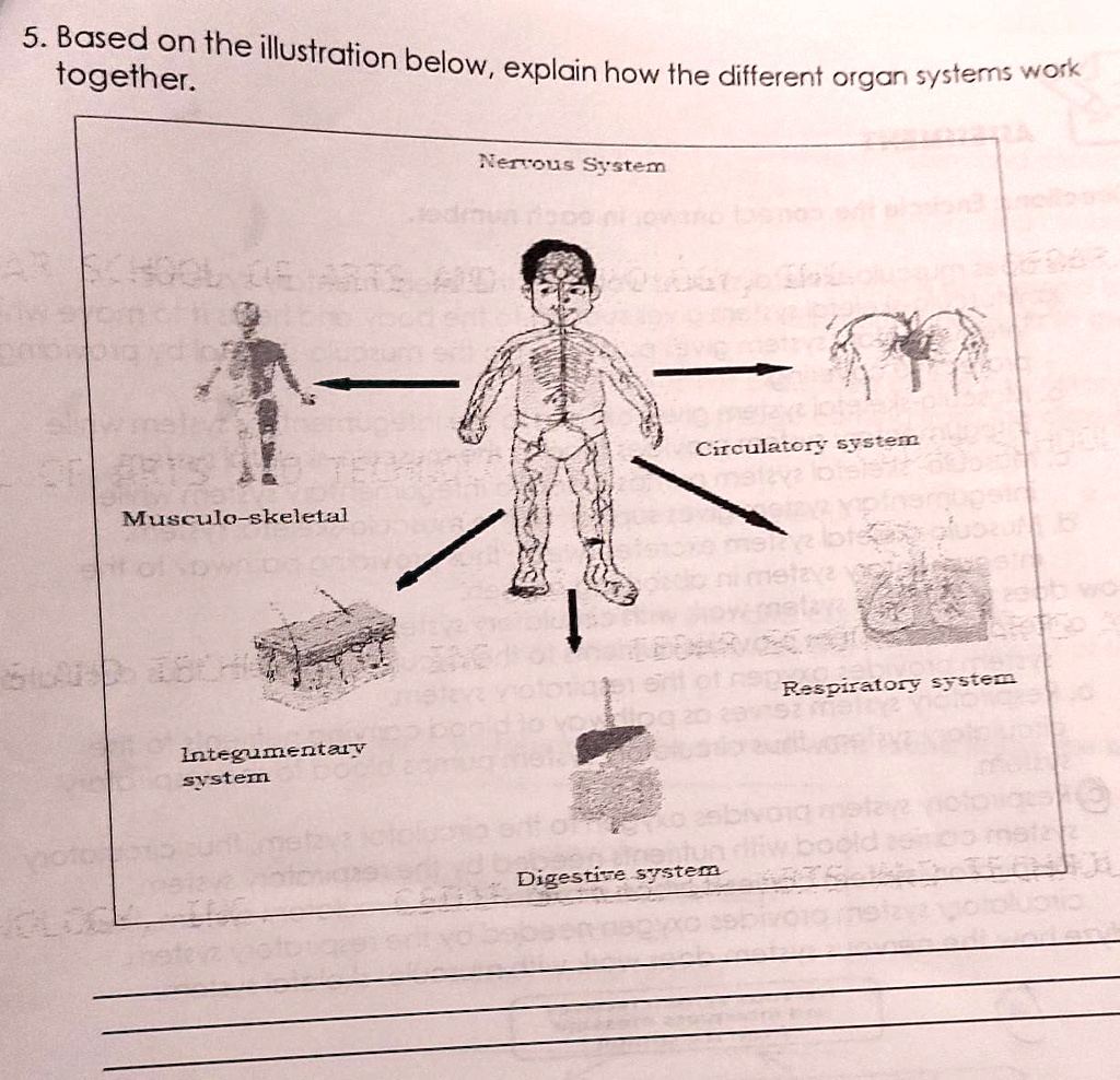 SOLVED 5. Based on the illustration below, explain how the different