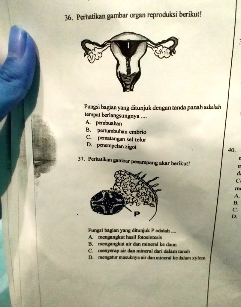 SOLVED: plis tolong ya Nomor 36 dan 37 36 , Perhatikan gambar organ