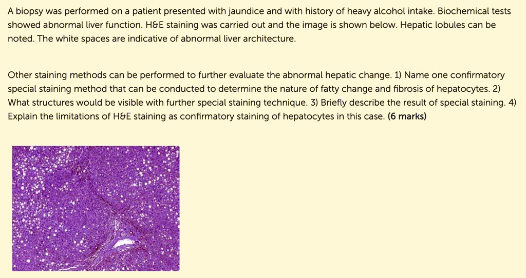 A biopsy was performed on a patient presented with jaundice and with history of heavy alcohol intake. Biochemical tests showed abnormal liver function. H   E staining was carried out and the image is shown below. Hepatic lobules can be noted. The white spaces are indicative of abnormal liver architecture.

Other staining methods can be performed to further evaluate the abnormal hepatic change. 1) Name one confirmatory special staining method that can be conducted to determine the nature of fatty change and fibrosis of hepatocytes. 2) What structures would be visible with further special staining technique. 3) Briefly describe the result of special staining. 4) Explain the limitations of H   E staining as confirmatory staining of hepatocytes in this case. (6 marks)