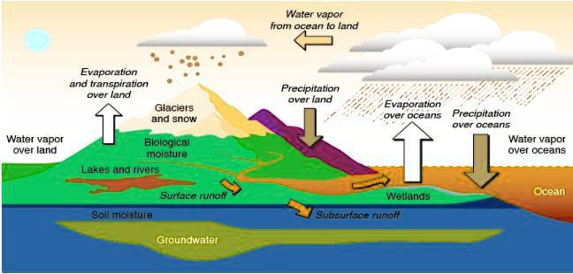 SOLVED: 'Using the diagram above, explain how a drop of water in the ...