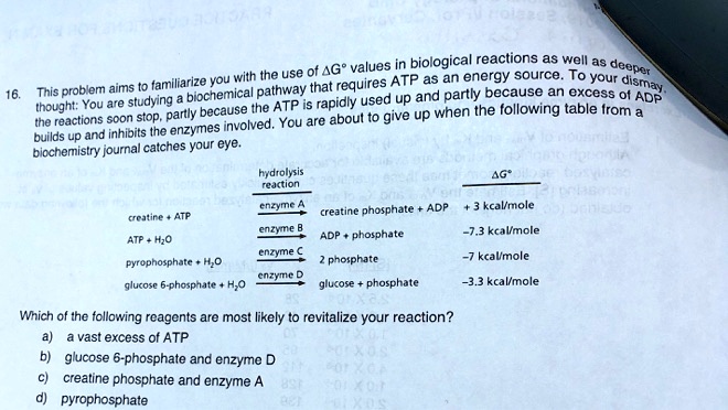 16. This problem aims to familiarize you with the use of ?G° values in biological reactions as well as deeper thought: You are studying a biochemical pathway that requires ATP as an energy source. To your dismay, the reactions soon stop, partly because the ATP is rapidly used up and partly because an excess of ADP builds up and inhibits the enzymes involved. You are about to give up when the following table from a biochemistry journal catches your eye.

hydrolysis reaction ?G°
creatine + ATP –enzyme A–> creatine phosphate + ADP +3 kcal/mole
ATP + H2O –enzyme B–> ADP + phosphate -7.3 kcal/mole
pyrophosphate + H2O –enzyme C–> 2 phosphate -7 kcal/mole
glucose 6-phosphate + H2O –enzyme D–> glucose + phosphate -3.3 kcal/mole

Which of the following reagents are most likely to revitalize your reaction?
a) a vast excess of ATP
b) glucose 6-phosphate and enzyme D
c) creatine phosphate and enzyme A
d) pyrophosphate
