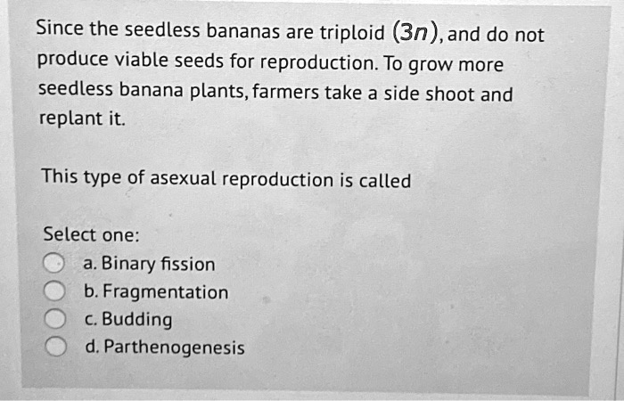 SOLVED: Since the seedless bananas are triploid (3n) and do not produce ...