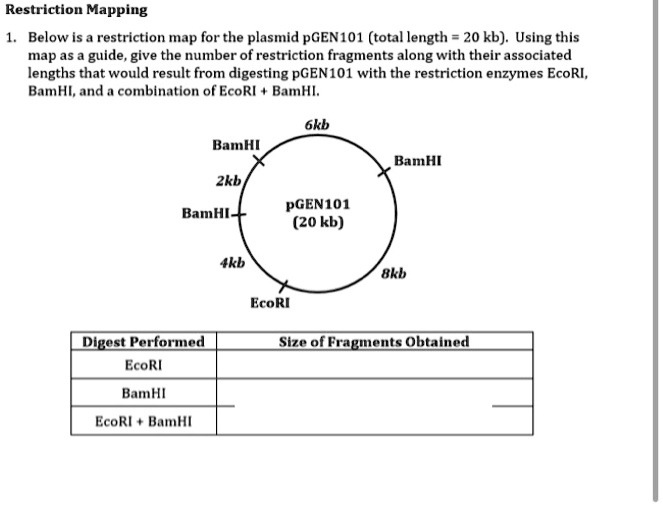 solved-restriction-mapping-below-is-a-restriction-map-for-the-plasmid