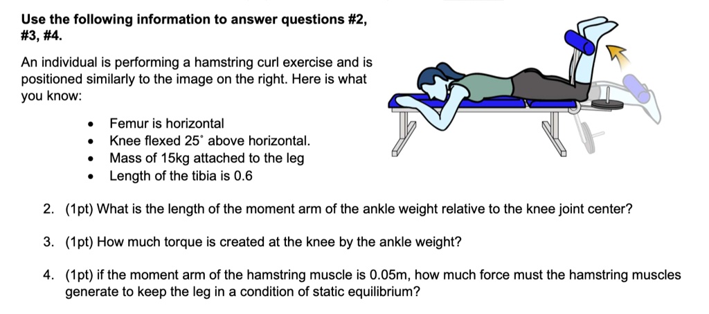 Use the following information to answer questions #2, #3, #4.

An individual is performing a hamstring curl exercise and is positioned similarly to the image on the right. Here is what you know:
• Femur is horizontal
• Knee flexed 25° above horizontal.
• Mass of 15kg attached to the leg
• Length of the tibia is 0.6

2. (1pt) What is the length of the moment arm of the ankle weight relative to the knee joint center?
3. (1pt) How much torque is created at the knee by the ankle weight?
4. (1pt) if the moment arm of the hamstring muscle is 0.05m, how much force must the hamstring muscles generate to keep the leg in a condition of static equilibrium?
