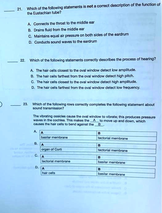 21. Which of the following statements is not a correct description of the function of the Eustachian tube?
A. Connects the throat to the middle ear
B. Drains fluid from the middle ear
C. Maintains equal air pressure on both sides of the eardrum
D. Conducts sound waves to the eardrum

22. Which of the following statements correctly describes the process of hearing?
A. The hair cells closest to the oval window detect low amplitude.
B. The hair cells farthest from the oval window detect high pitch.
C. The hair cells closest to the oval window detect high amplitude.
D. The hair cells farthest from the oval window detect low frequency.

23. Which of the following rows correctly completes the following statement about sound transmission?
The vibrating ossicles cause the oval window to vibrate; this produces pressure waves in the cochlea. This makes the A to move up and down, which causes the hair cells to bend against the B.

A. A: basilar membrane, B: tectorial membrane
B. A: organ of Corti, B: tectorial membrane
C. A: tectorial membrane, B: basilar membrane
D. A: hair cells, B: basilar membrane