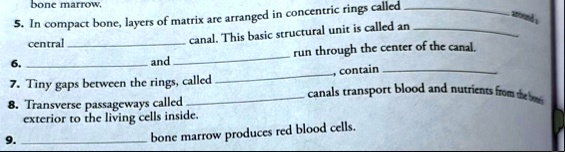 bone marrow 5 in compact bone layers of matrix are arranged in concentric rings called central canal this basic structural unit is called an 6 and run through the center of the canal 7 tiny  01412