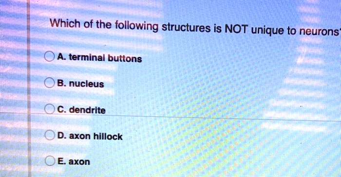 Which of the following structures is NOT unique to neurons?
A. terminal buttons
B. nucleus
C. dendrite
D. axon hillock
E. axon