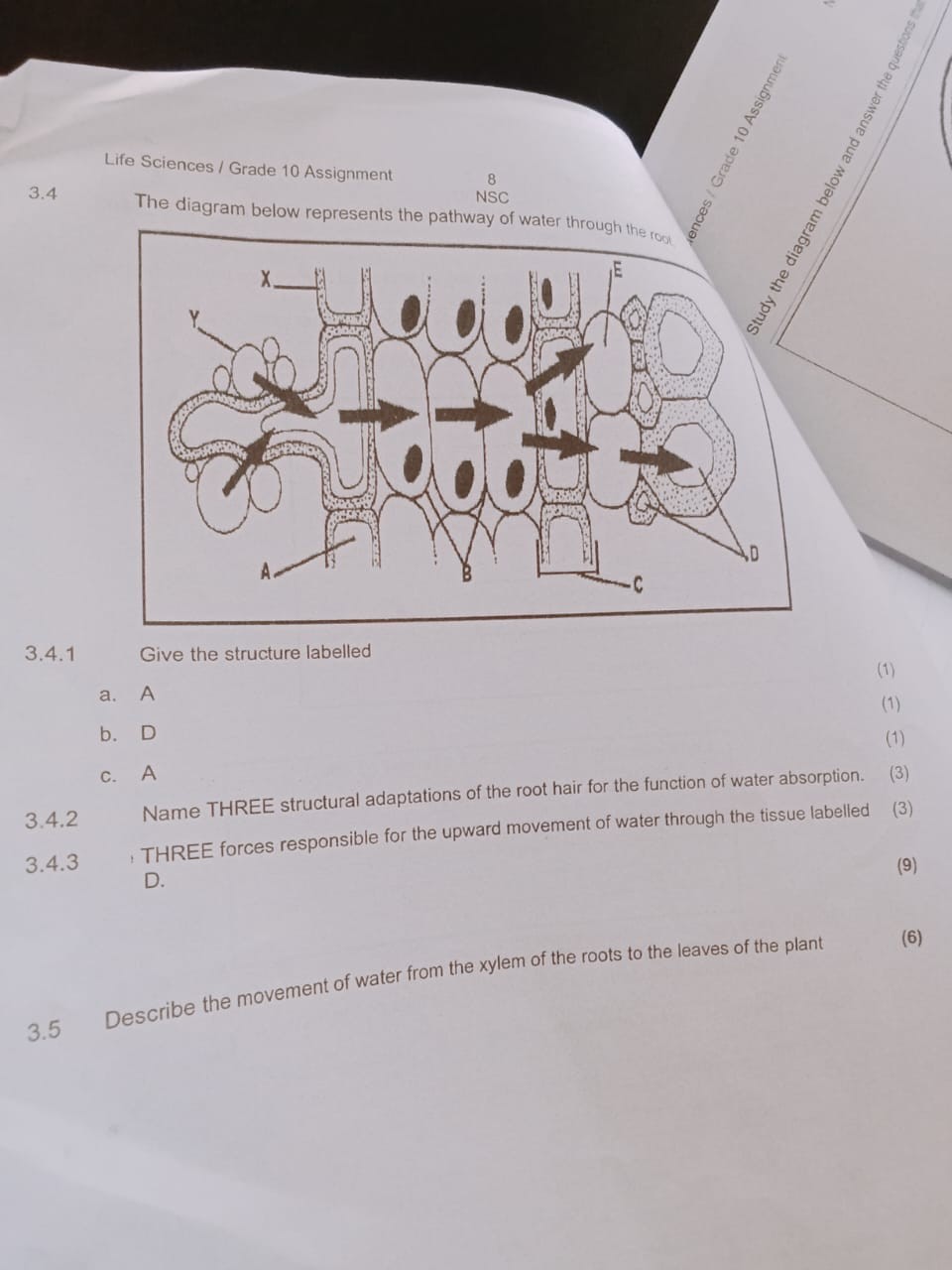 SOLVED: Life Sciences / Grade 10 Assignment 8 3.4 The diagram below ...