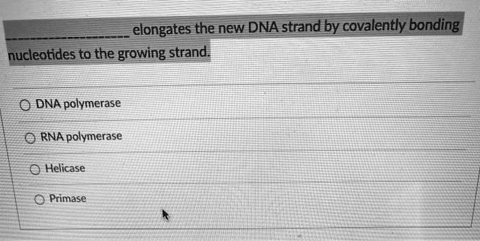 SOLVED:elongates the new DNA strand by covalently bonding nucleotides ...