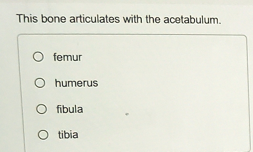 This bone articulates with the acetabulum. ? femur ? humerus ? fibula ...