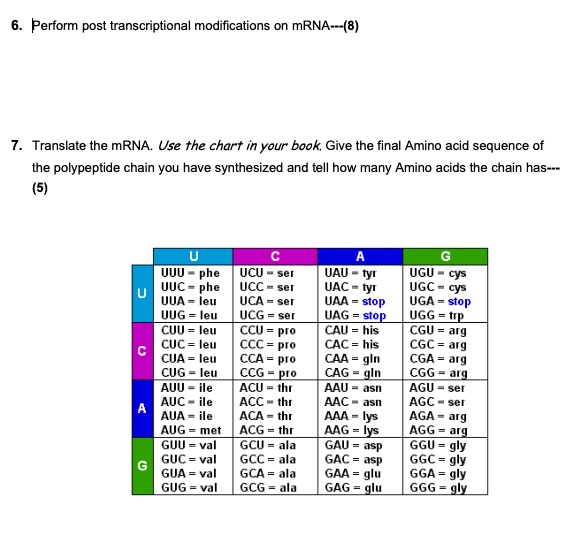SOLVED Perform posttranscriptional modifications on mRNAâ€”(8