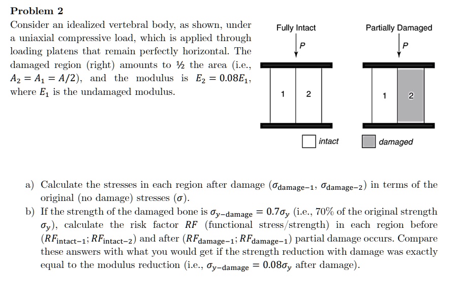 SOLVED: Problem 2: Consider An Idealized Vertebral Body, As Shown ...