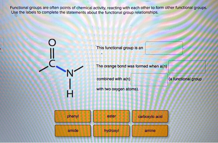 structure activity relationship vs functional group theory
