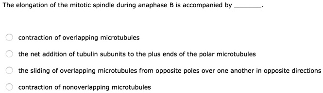 The elongation of the mitotic spindle during anaphase B is accompanied by .
contraction of overlapping microtubules
the net addition of tubulin subunits to the plus ends of the polar microtubules
the sliding of overlapping microtubules from opposite poles over one another in opposite directions
contraction of nonoverlapping microtubules