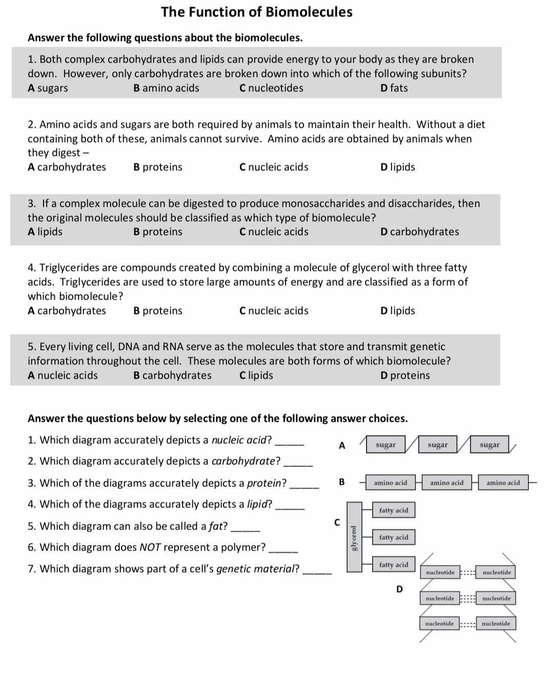 solved-the-function-of-biomolecules-answer-the-following-questions