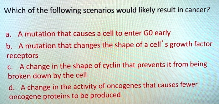 Which of the following scenarios would likely result in cancer?

a. A mutation that causes a cell to enter G0 early
b. A mutation that changes the shape of a cell' s growth factor receptors
c. A change in the shape of cyclin that prevents it from being broken down by the cell
d. A change in the activity of oncogenes that causes fewer oncogene proteins to be produced