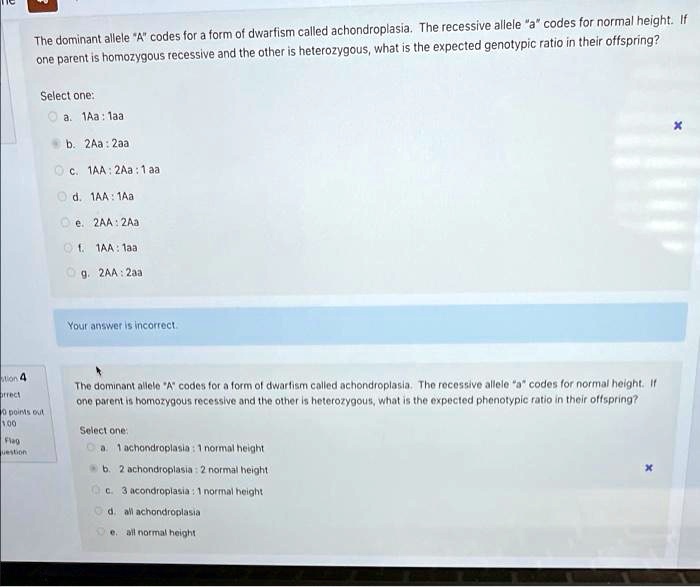 SOLVED: The dominant allele A codes for a form of dwarfism called ...