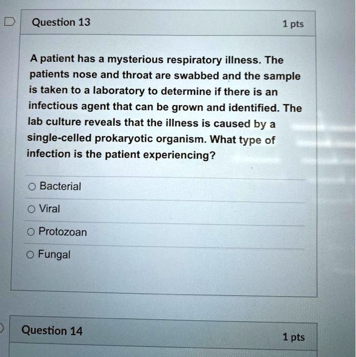 A patient has a mysterious respiratory illness. The patients nose and throat are swabbed and the sample is taken to a laboratory to determine if there is an infectious agent that can be grown and identified. The lab culture reveals that the illness is caused by a single-celled prokaryotic organism. What type of infection is the patient experiencing?
Bacterial
Viral
Protozoan
Fungal