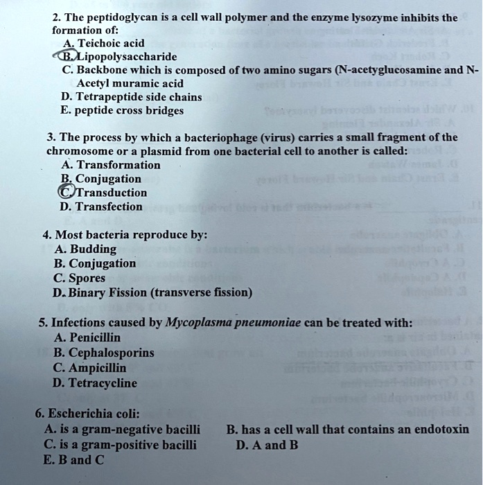 The peptidoglycan is a cell wall polymer and the enzyme lysozyme ...