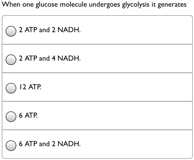 When one glucose molecule undergoes glycolysis it generates
2 ATP and 2 NADH.
2 ATP and 4 NADH.
12 ATP.
6 ATP.
6 ATP and 2 NADH.