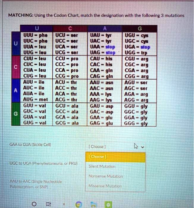 SOLVEDMATCHING Using the Codon Chart; match the designation with the