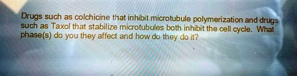 Drugs such as colchicine that inhibit microtubule polymerization and drugs such as Taxol that stabilize microtubules both inhibit the cell cycle. What phase(s) do you they affect and how do they do it?