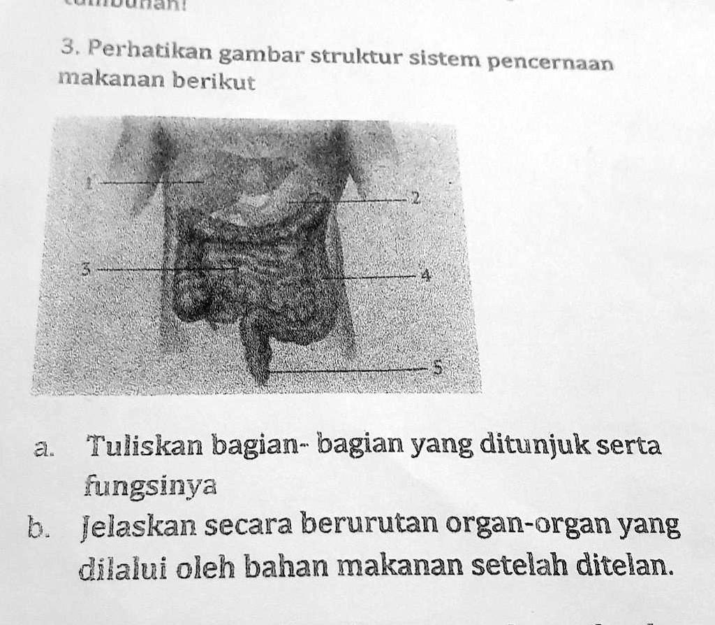 SOLVED: No 3 Di Jawab Yang A Dan B CiiOdne 3. Perhatikan Gambar ...