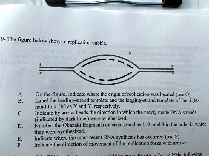 SOLVED: 9- The Figure Below Shows A Replication Bubble: On The Figure ...