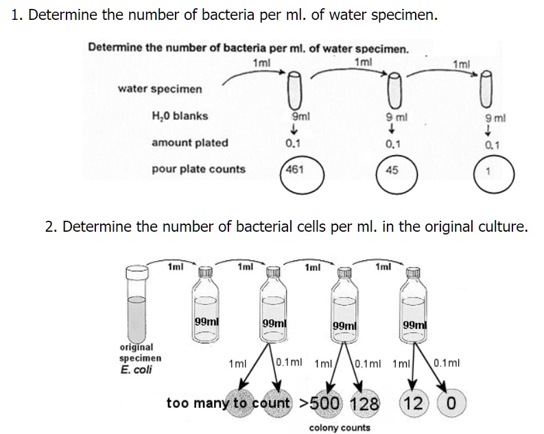 1. Determine the number of bacteria per ml of water … SolvedLib
