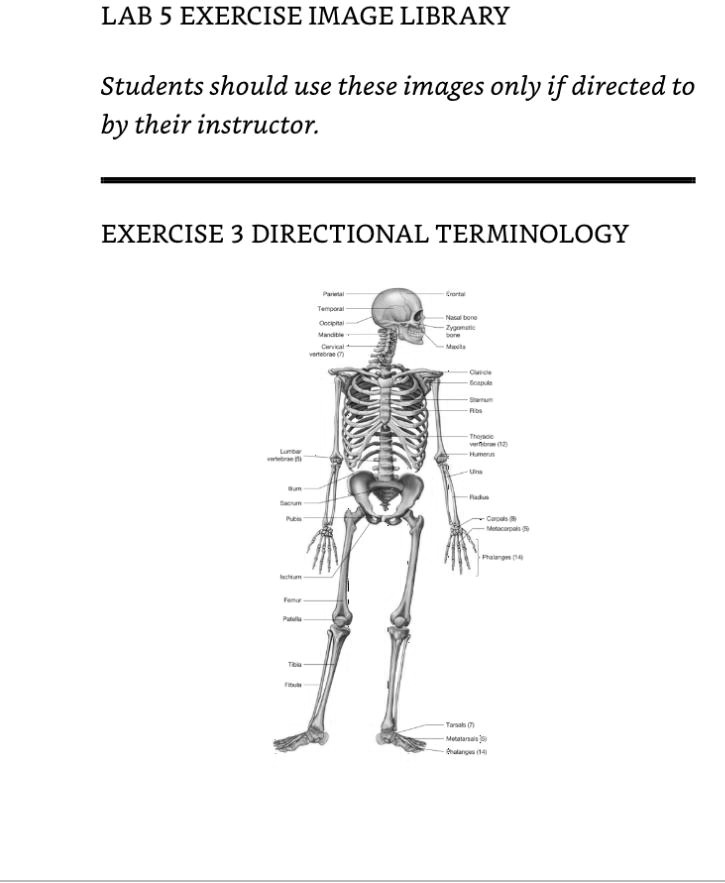 SOLVED Exercise 3 Directional Terminology Use the skeletal material