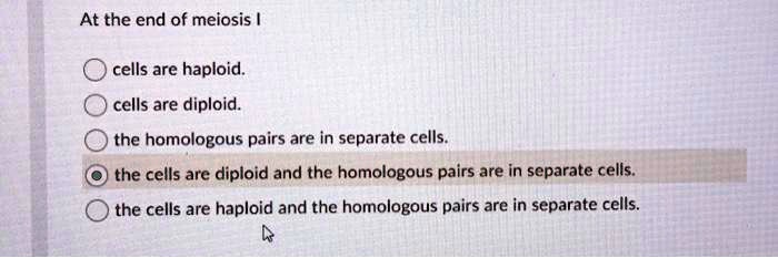 At the end of meiosis I
cells are haploid.
cells are diploid.
the homologous pairs are in separate cells.
the cells are diploid and the homologous pairs are in separate cells.
the cells are haploid and the homologous pairs are in separate cells.