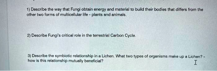 SOLVED: 1) Describe the way that Fungi obtain energy and material to ...