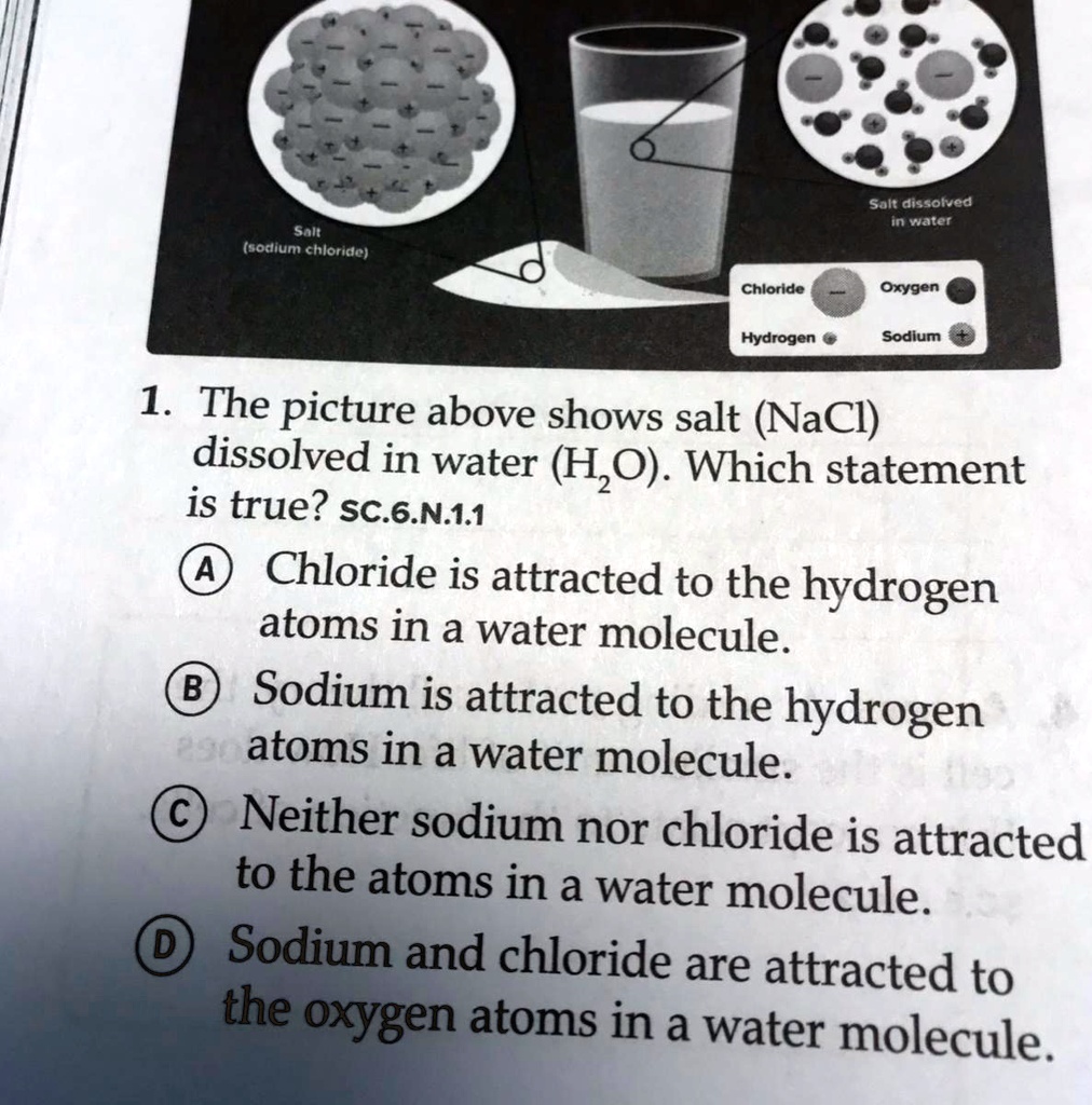 Which Statement About Sodium Chloride Is Correct SOLVED: 'The picture above shows salt (NaCI) dissolved in water (H2O