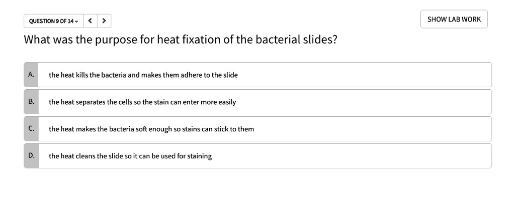 the-9-benefits-of-heat-therapy-youtube-heat-therapy-heat-shock