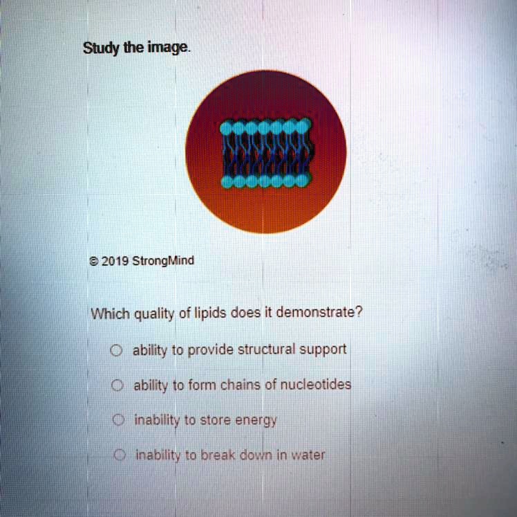 SOLVED 'PLEASE HELP WITH THIS ONE QUESTION Study the image. 2 2019