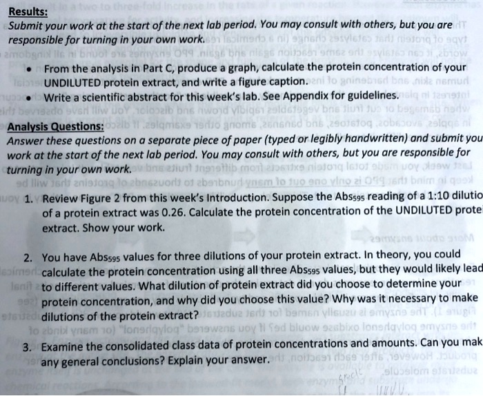 Results:
Submit your work at the start of the next lab period. You may consult with others, but you are responsible for turning in your own work.

• From the analysis in Part C, produce a graph, calculate the protein concentration of your UNDILUTED protein extract, and write a figure caption.
• Write a scientific abstract for this week's lab. See Appendix for guidelines.

Analysis Questions:
Answer these questions on a separate piece of paper (typed or legibly handwritten) and submit your work at the start of the next lab period. You may consult with others, but you are responsible for turning in your own work.

1. Review Figure 2 from this week's Introduction. Suppose the Abs595 reading of a 1:10 dilution of a protein extract was 0.26. Calculate the protein concentration of the UNDILUTED protein extract. Show your work.

2. You have Abs595 values for three dilutions of your protein extract. In theory, you could calculate the protein concentration using all three Abs595 values, but they would likely lead to different values. What dilution of protein extract did you choose to determine your protein concentration, and why did you choose this value? Why was it necessary to make dilutions of the protein extract?

3. Examine the consolidated class data of protein concentrations and amounts. Can you make any general conclusions? Explain your answer.