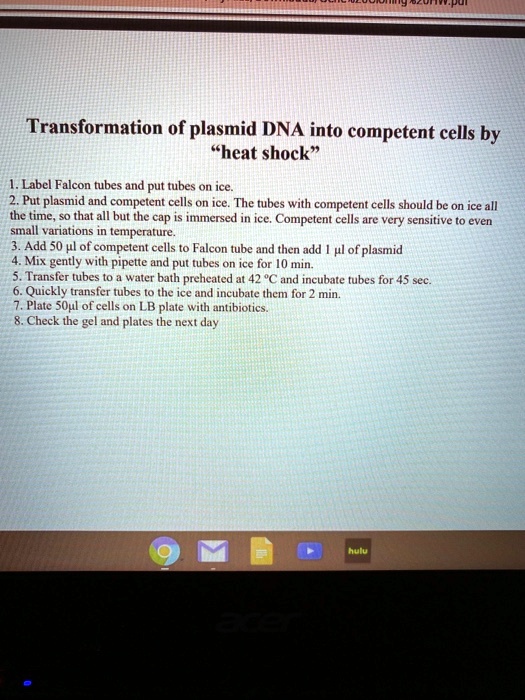 transformation of plasmid dna into competent cells by heat shock label ...