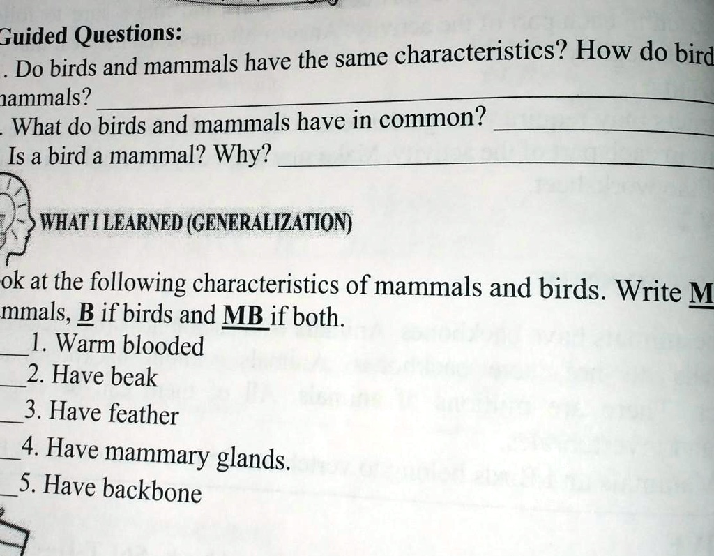 what characteristics do birds and mammals have in common