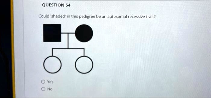QUESTION 54
Could 'shaded' in this pedigree be an autosomal recessive trait?
Yes
No