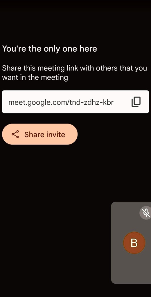 You're the only one here
Share this meeting link with others that you
want in the meeting
meet.google.com/tnd-zdhz-kbr
Share invite
B