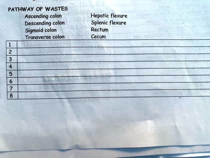 SOLVED pathway of wastes PATHWAY OF WASTES Ascending colon Descending