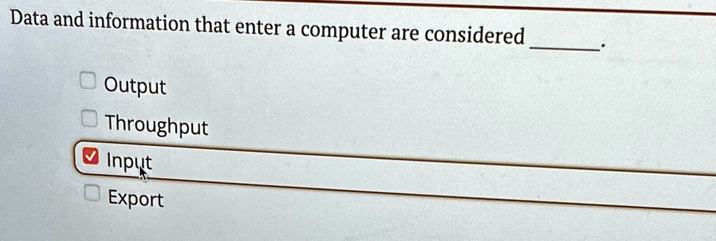 SOLVED: Data and information that enter a computer are considered ...