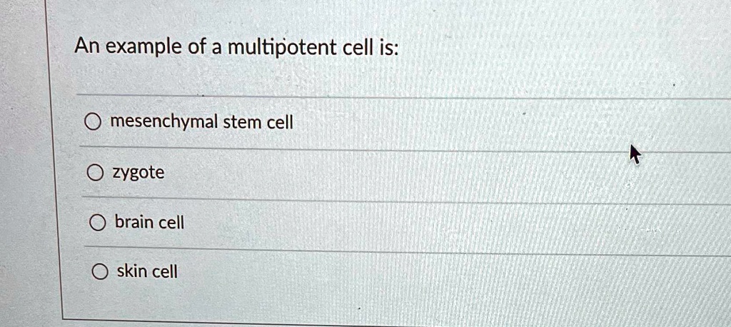 SOLVED: An example of a multipotent cell is: mesenchymal stem cell ...