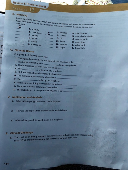 Review     Practice Sheet
Exercise 13
B. Matching
Match each bone listed on the left with the correct division and part of the skeleton on the
right. Each question may have more than one answer, and each choice can be used more
than once.
1. scapula
7. vertebra
A. axial division
2. coxal bone
8. clavicle
B. appendicular division
3. patella
9. rib
C. pectoral girdle
4. hyoid
10. femur
D. upper limb
5. radius
11. sternum
E. pelvic girdle
6. metacarpal
12. carpal
F. lower limb
C. Fill in the Blanks
Complete the following statements.
1. The region between the tip and the shaft of a long bone is the
2. The lattice or meshwork of
forms spongy bone.
3. Hyaline cartilage on joint surfaces is called
4. The
is the shaft of a long bone.
5. Children's long bones have growth plates called
6. The membrane surrounding a bone is the
7. The
is the tip of a long bone.
8. The membrane lining the medullary cavity is the
9. Compact bone has columns of tissue called
10. The metaphyses of a 40-year-old's long bones have
D. Application and Analysis
1. Where does spongy bone occur in the skeleton?
2. How are the upper limbs attached to the axial skeleton?
3. Where does growth in length occur in a long bone?
E. Clinical Challenge
1. The result of an elderly woman's bone density test indicates that her bones are losing
mass. What preventive measure can she take to slow her bone loss?