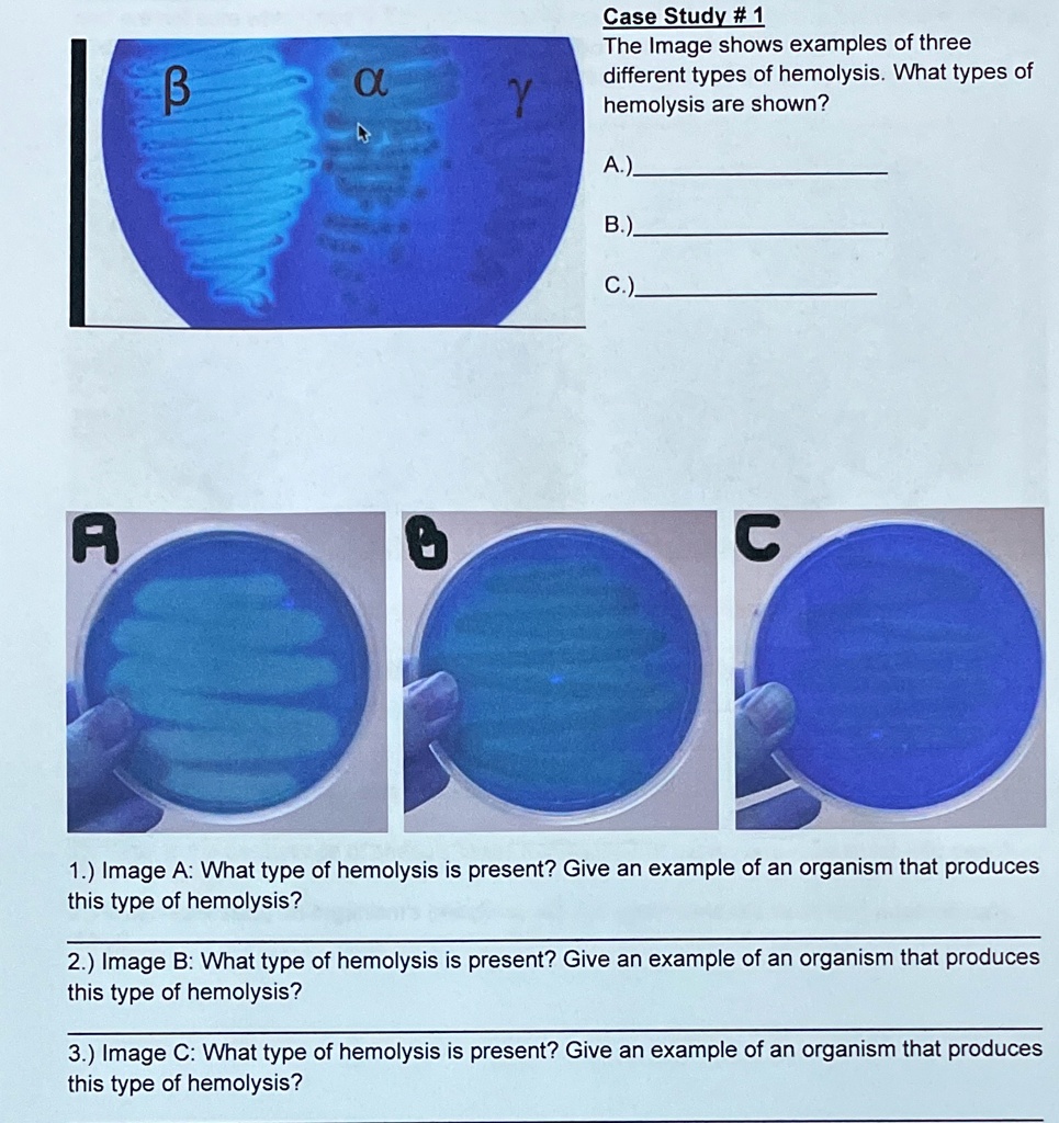 SOLVED: Case Study #1: The image shows examples of three different ...