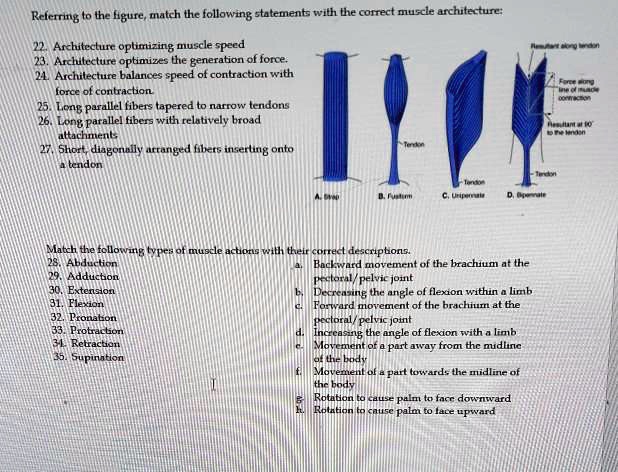 Referring to the figure, match the following statements with the ...