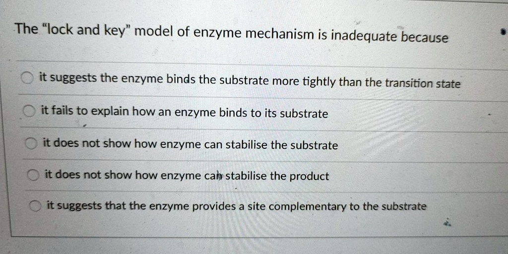 What does the lock and key hypothesis state?